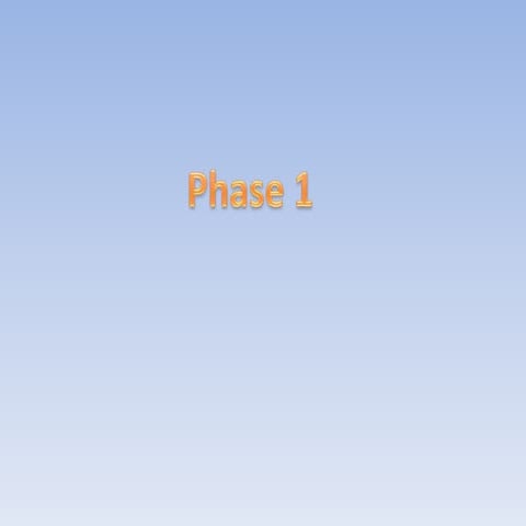 phase 1 | PPTX