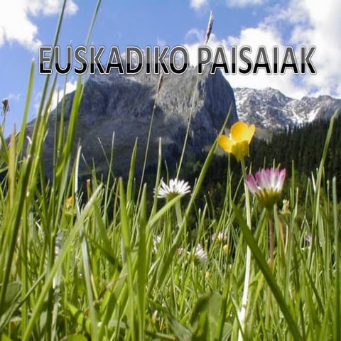 EUSKADIKO PAISAIA