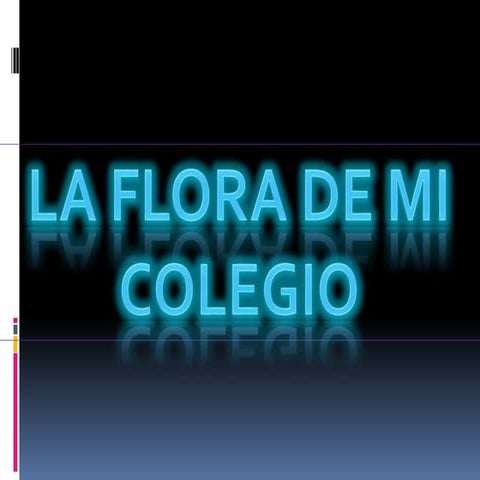 LA FLORA DE MI COLEGIO