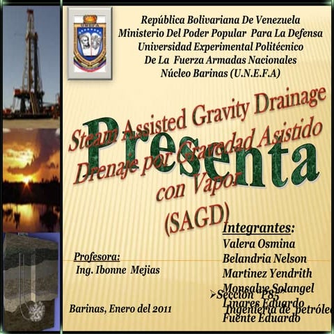 El proceso sagd | PPTX