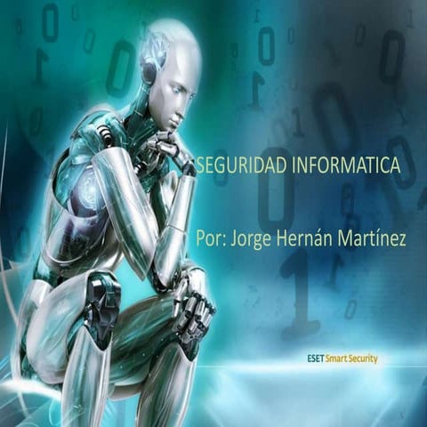 seguridad informatica
