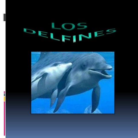los delfines