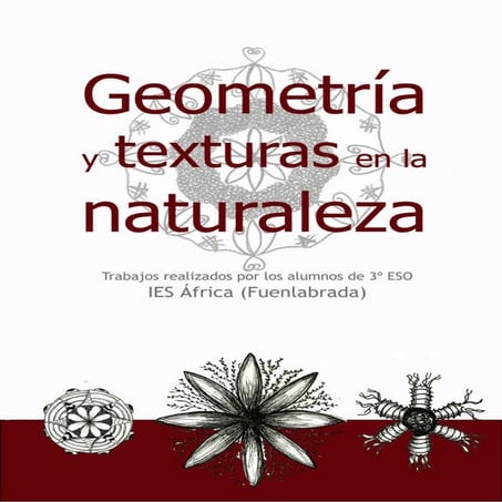 Geometría y texturas en la naturaleza