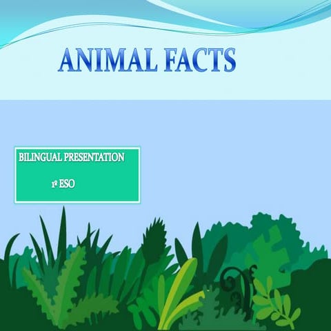 Animal facts
