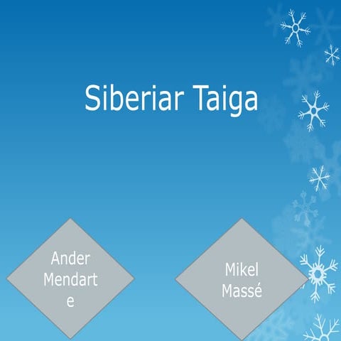 Siberiar Taiga