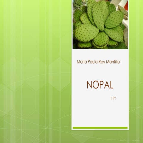 FICHA DE PLANTA Nopal.pptx
