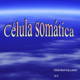 célula somática 
