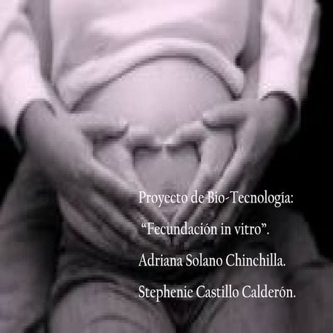 Fecundacion in-vitro