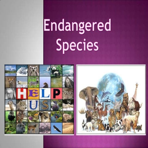Endangered Species