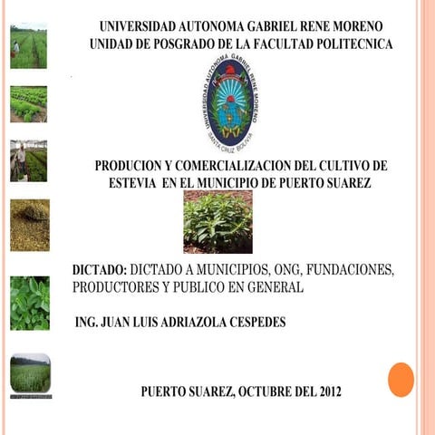 produccion de estevua