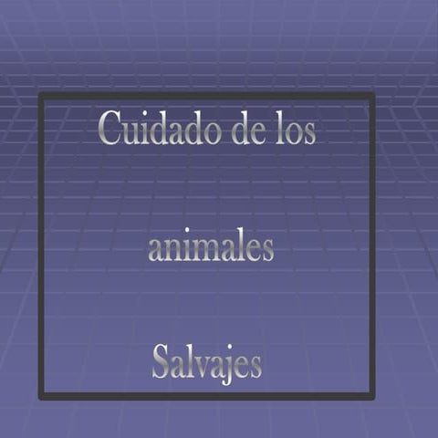 cuidado de los animales