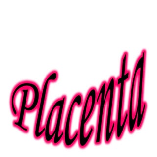 Placenta (exposición)