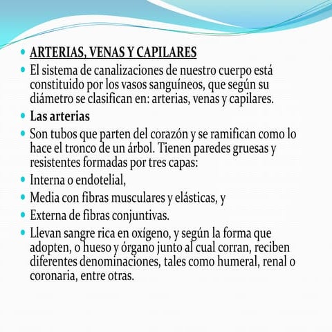Arterias , Venas y Capilares