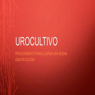 Urocultivo
