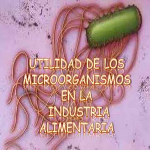 Utilidad de los microorganismos en la industria alimentaria | PPTX