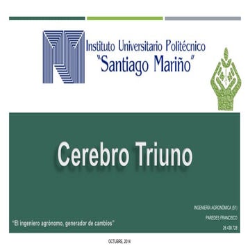 Cerebro Triuno 
