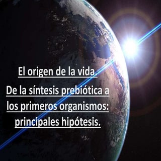 El origen de la vida.