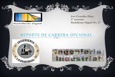 Ingeniería Industrial