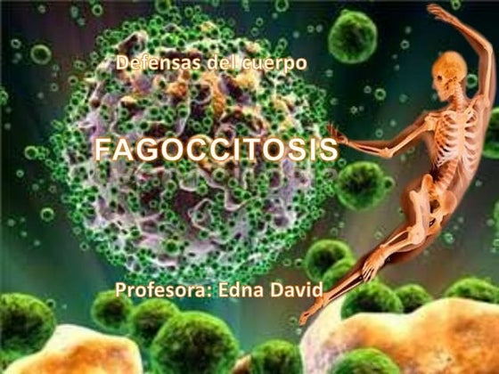 Edna David presentations