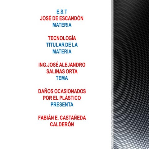 Daños Ocasionados por el Plastico