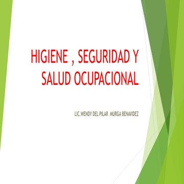 HIGIENE , SEGURIDAD  Y SALUD OCUPACIONAL
