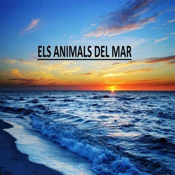 els animals del mar