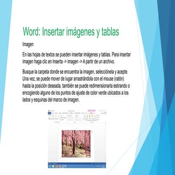 Word: insertar imágenes y tablas.
