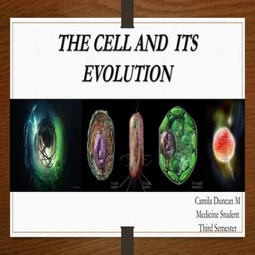 The cell and its evolution. Camila Duncan