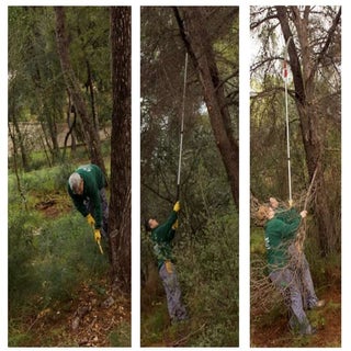 Treballs en La Carrasca