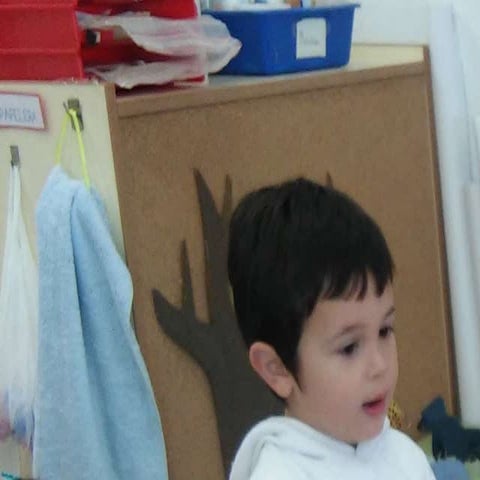 Presentación1.pptx expertos