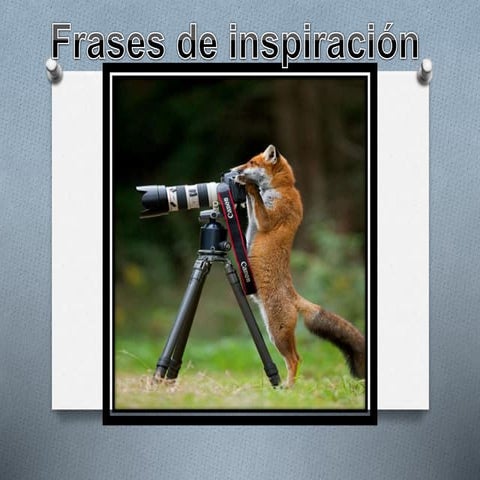 fotografía es arte