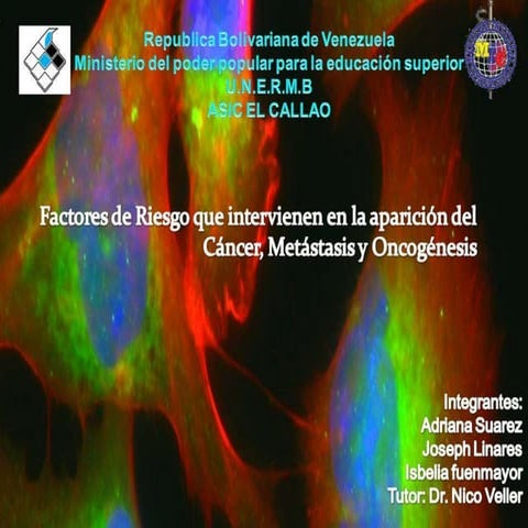 Factores de Riesgo que intervienen en la aparición de Cáncer, metástasis y Oncogenesis 