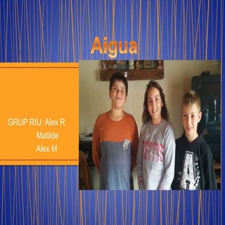 GRUP RIU