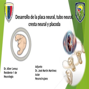 Desarrollo de la placa neural, tubo neural, cresta neural y placoda | PPTX