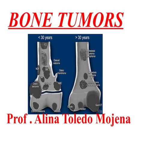 Presentación1.pptxjkybgsdyegkukyntekgyue