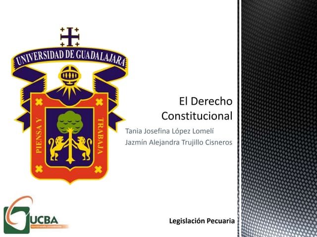 La constitución de 1904 constitucional