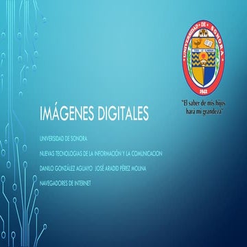 Importancia de los navegadores de internet