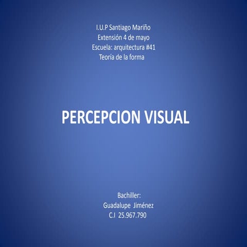 percepción visual 