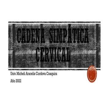 Presentación (1) Cadena simpática Cervical Presentación.pptx