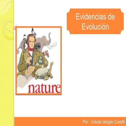  Evolución:  Evidencias de la Evolución