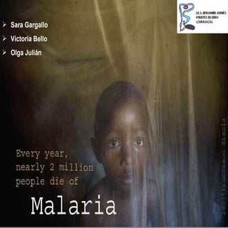 Salud / Malaria