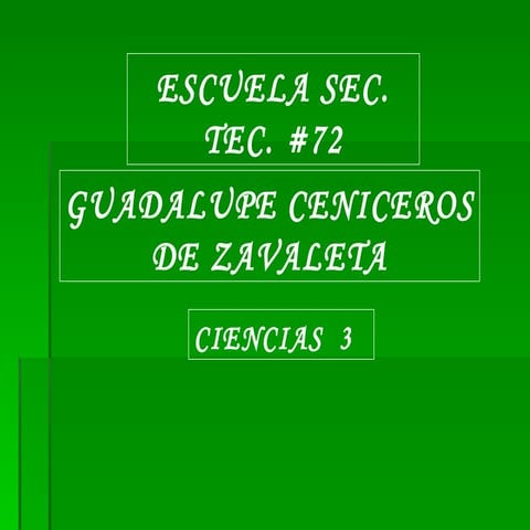 PresentacióN1nilon1 3° F