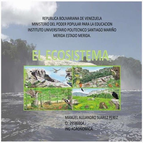 El ecosistema | PPTX