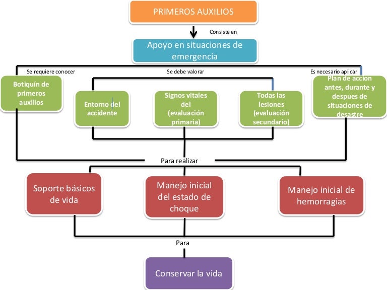 esquema general de primeros auxilios