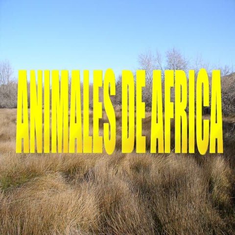LOS ANIMALES DE AFRICA