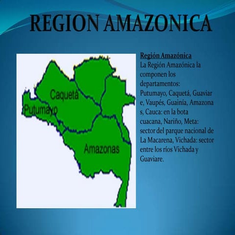 Presentación1 region amazonica | PPTX