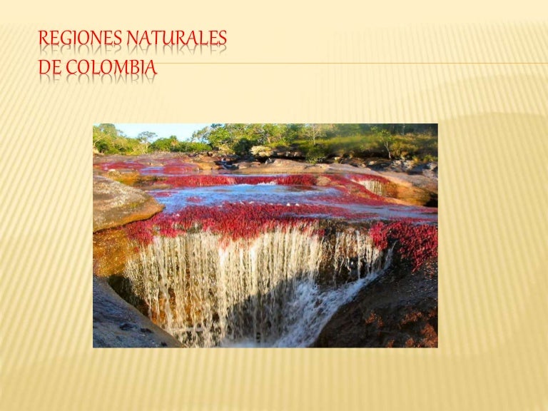 Presentación1 regiones naturales