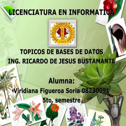 Base de Datos Orientada a Objetos