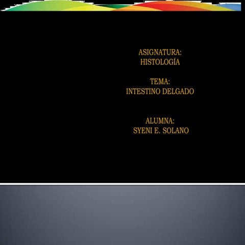 histología del intestino delgado