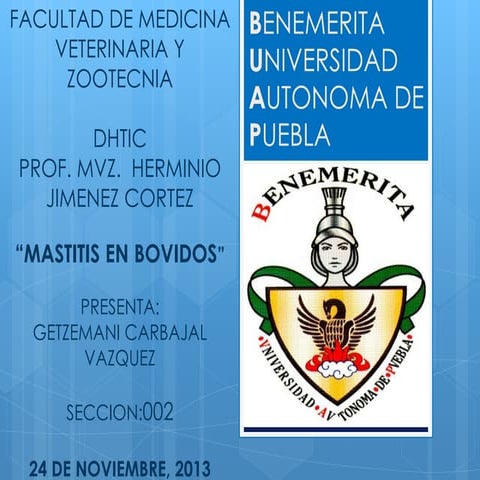 Mastitis en bovidos